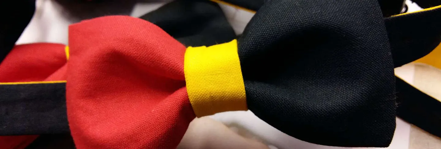 Nœud papillon aux couleurs du drapeau belge&nbsp;: noir, jaune et rouge.